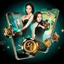 Privacy and account safety guidance for PP Live Casino users in Bangladesh